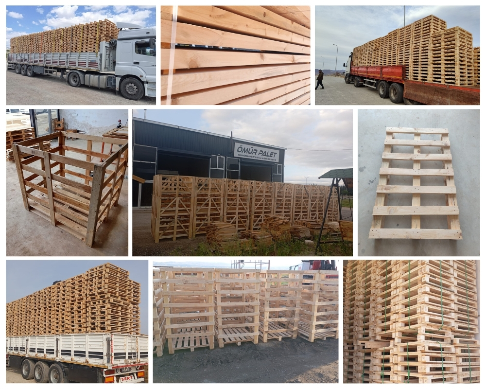 Zwanenburg Houten Kisten, Europallets Groothandel Kopen